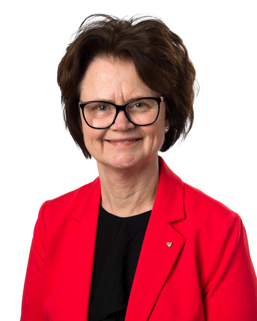 Anna-Karin Skatt (S)