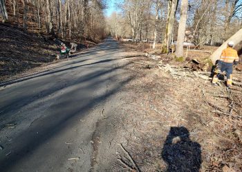 Väg öppnar upp efter avstängning – träd över vägen