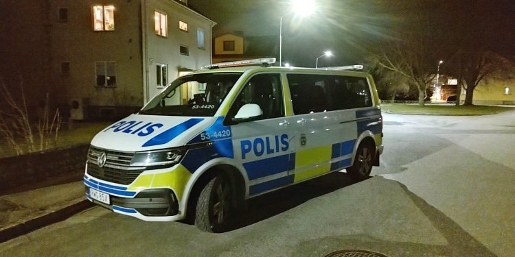 Skrik och smällar ledde till stor polisinsats