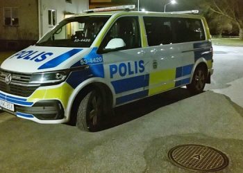 Skrik och smällar ledde till stor polisinsats