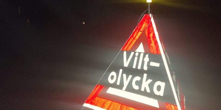 Foto: Rasmus Ahlblom - Arkiv