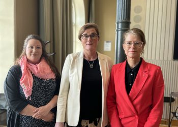 rödgröna regionledningen