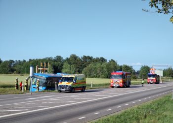 buss i diket