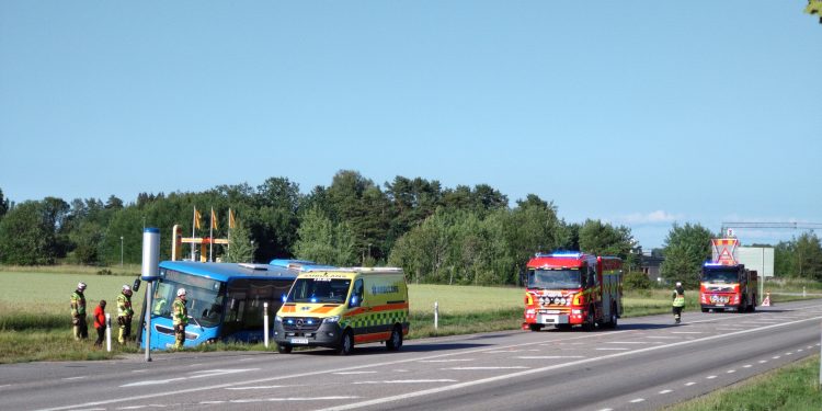 buss i diket