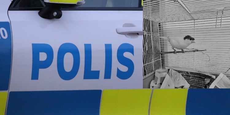 Foto: Polisen Östra Skaraborg