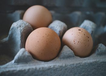 ägg