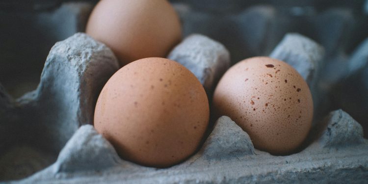ägg