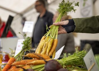 Matfestival nästa helg