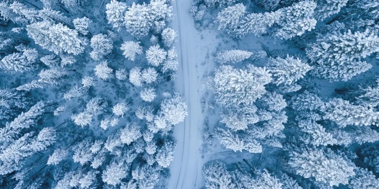 vinter