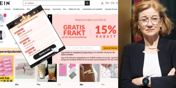 Kollage på Shein och Johanna Hållén