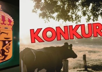 Bokföringsbrott styrelse inför åtal