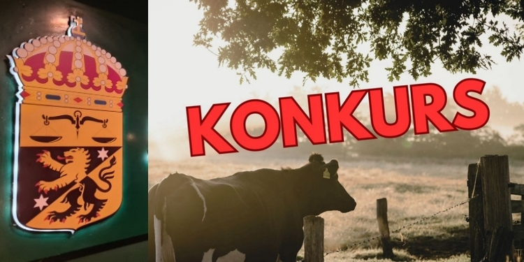 Bokföringsbrott styrelse inför åtal