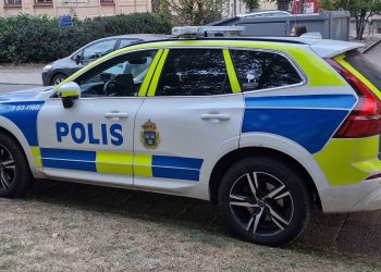 Möbeljätte utsatt för inbrott – tre personer stal en matta