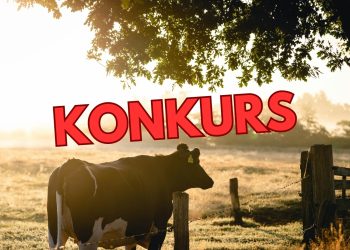 Jordbruksföretag i konkurs