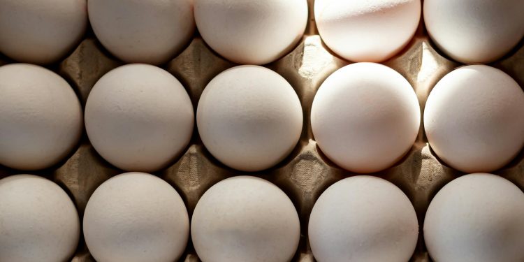 ägg i kartong