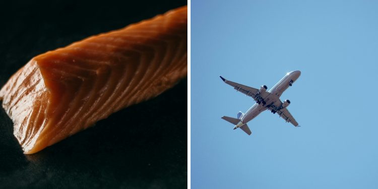 Collage, lax till vänster och flygplan till höger.