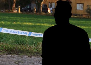Lokal SD-politiker döms för vapenbrott